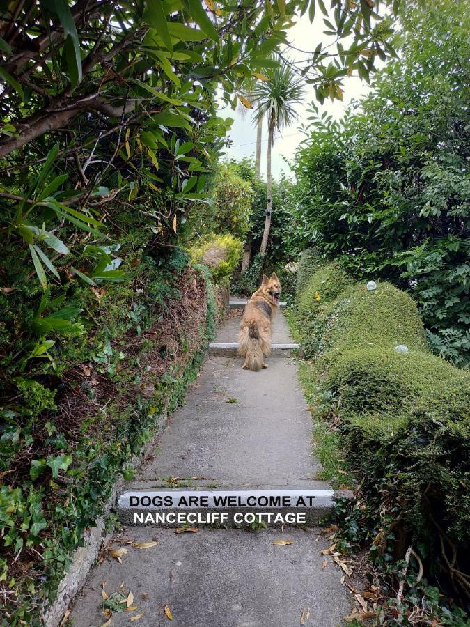 Dog Friendly Nancecliff Cottages 루 외부 사진