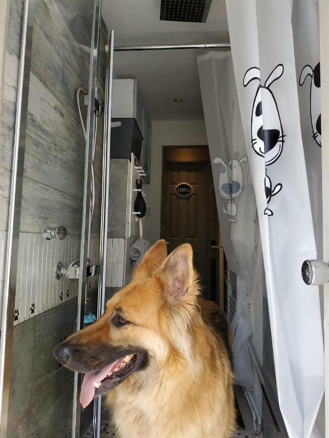 Dog Friendly Nancecliff Cottages 루 외부 사진