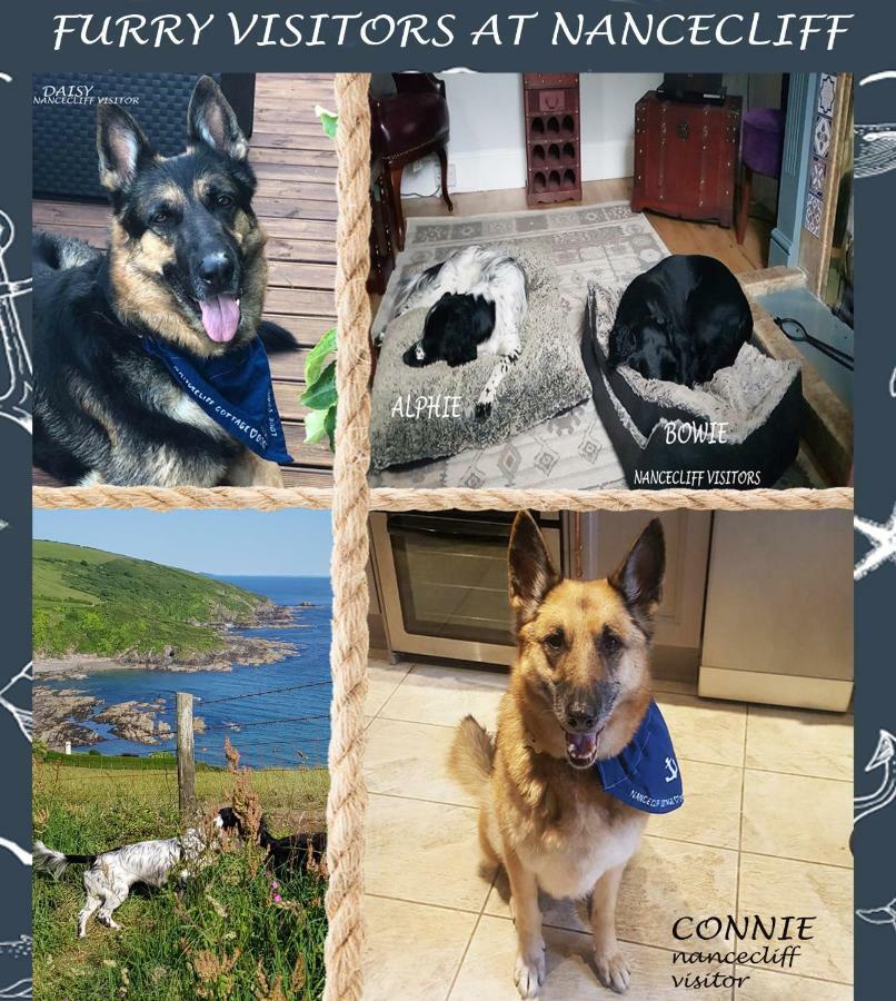 Dog Friendly Nancecliff Cottages 루 외부 사진